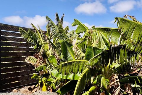 Villa i La Oliva, Fuerteventura, La Oliva - € 635.000 | Ref: villaoliva - foto 47